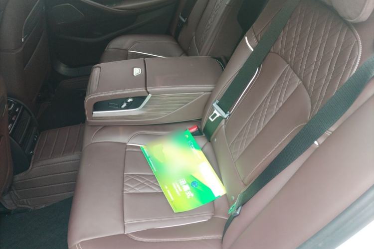 Used BMW 5 Series New Energy 2020 Mileage Upgrade Version 530Le Pioneer Edition Left Rear Seat