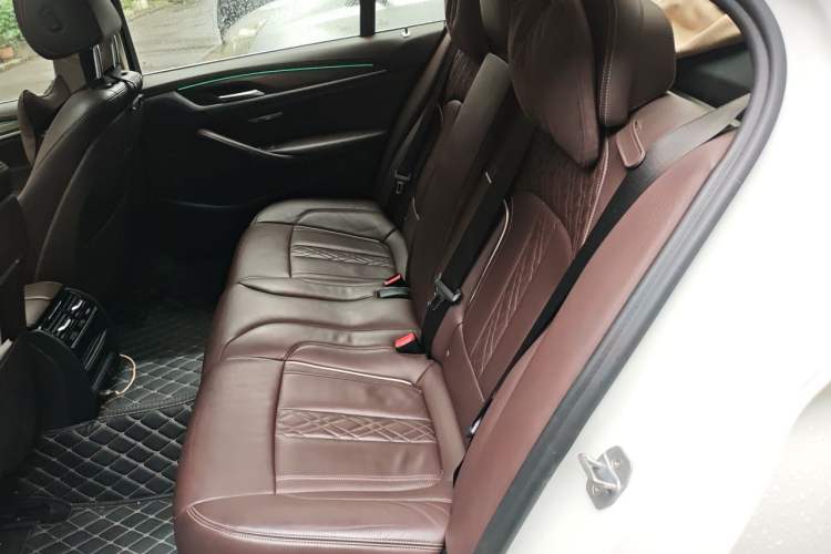 Used BMW 5 Series New Energy 2020 530Le Luxury Package Left Rear Seat