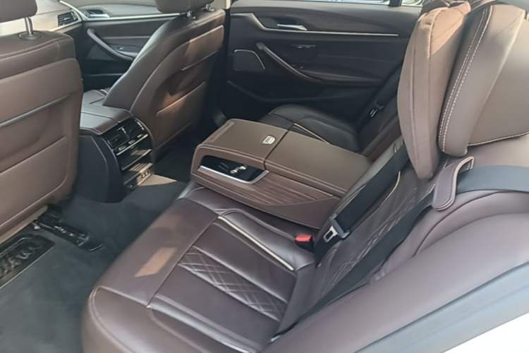 Used BMW 5 Series New Energy 2020 530Le Luxury Package Left Rear Seat