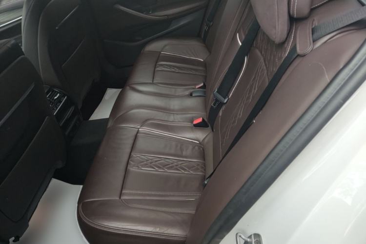 Used BMW 5 Series New Energy 2020 530Le Luxury Package Left Rear Seat