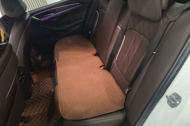Used BMW 5 Series New Energy 2020 530Le Luxury Package Left Rear Seat