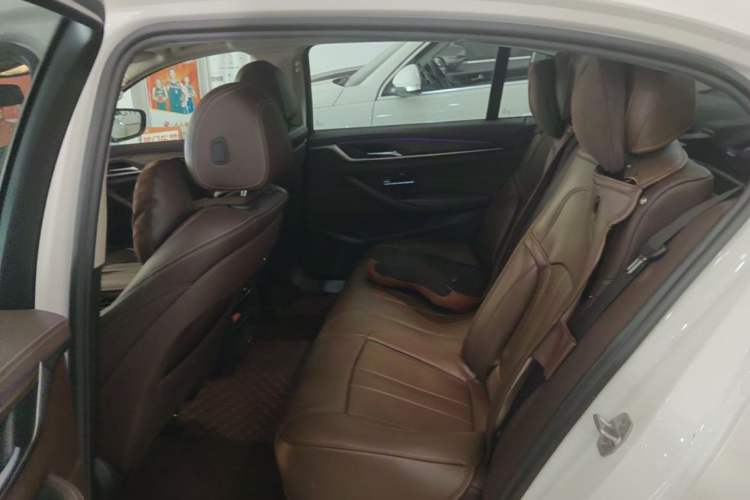 Used BMW 5 Series New Energy 2020 Mileage Upgrade Version 530Le Luxury Package Left Rear Seat