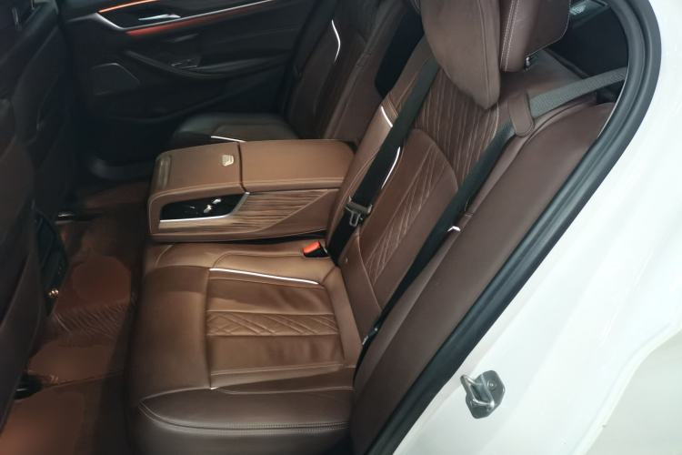Used BMW 5 Series New Energy 2020 Mileage Upgrade Version 530Le Pioneer Edition Left Rear Seat