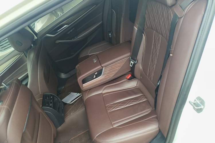 Used BMW 5 Series New Energy 2020 530Le Luxury Package Left Rear Seat