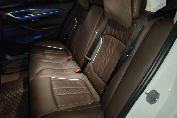 Used BMW 5 Series New Energy 2020 Mileage Upgrade Version 530Le Luxury Package Left Rear Seat