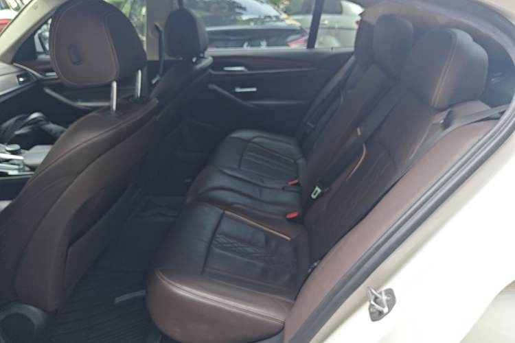 Used BMW 5 Series New Energy 2020 Mileage Upgrade Version 530Le Luxury Package Left Rear Seat