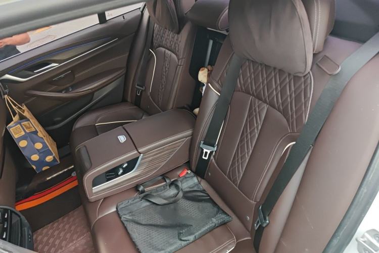 Used BMW 5 Series New Energy 2020 Mileage Upgrade Version 530Le Luxury Package Left Rear Seat