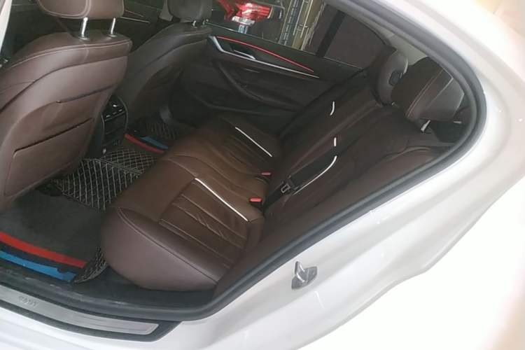 Used BMW 5 Series New Energy 2020 Mileage Upgrade Version 530Le Luxury Package Left Rear Seat