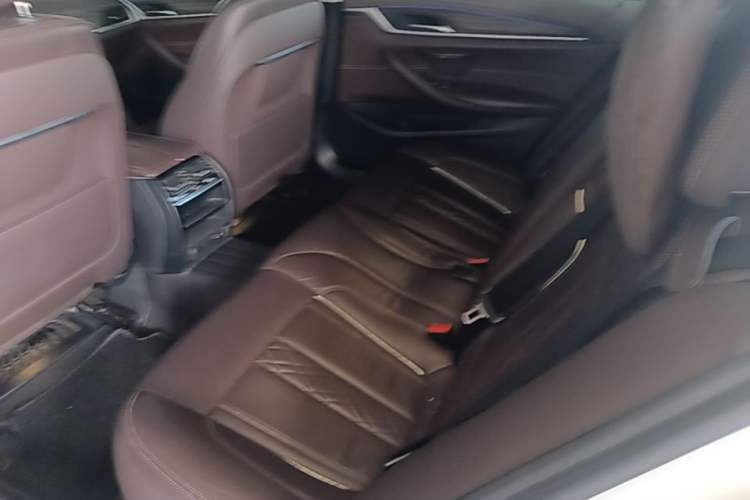 Used BMW 5 Series New Energy 2020 Mileage Upgrade Version 530Le Luxury Package Left Rear Seat