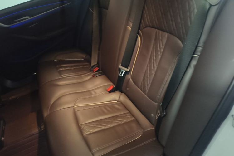 Used BMW 5 Series New Energy 2020 530Le Luxury Package Left Rear Seat