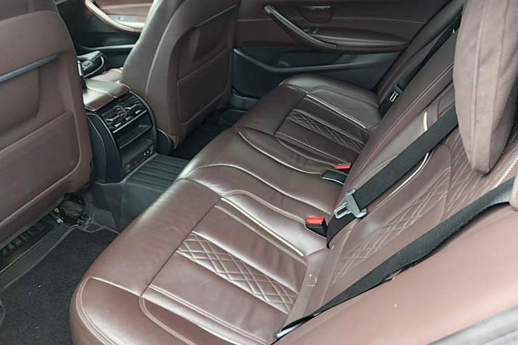 Used BMW 5 Series New Energy 2020 Mileage Upgrade Version 530Le Luxury Package Left Rear Seat