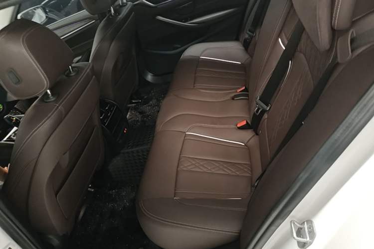 Used BMW 5 Series New Energy 2020 Mileage Upgrade Version 530Le Luxury Package Left Rear Seat