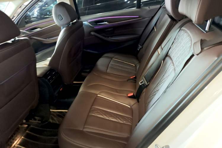 Used BMW 5 Series New Energy 2020 Mileage Upgrade Version 530Le Luxury Package Left Rear Seat