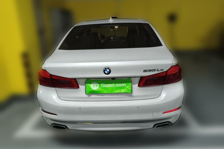 Used BMW 5 Series New Energy 2020 Mileage Upgrade Version 530Le Luxury Package Rear
