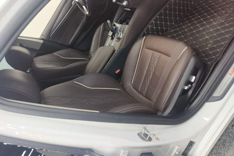 Used BMW 5 Series New Energy 2020 Mileage Upgrade Version 530Le Luxury Package Right Front Seat