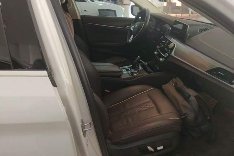 Used BMW 5 Series New Energy 2020 Mileage Upgrade Version 530Le Luxury Package Right Front Seat