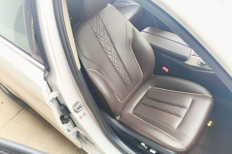 Used BMW 5 Series New Energy 2020 530Le Luxury Package Right Front Seat