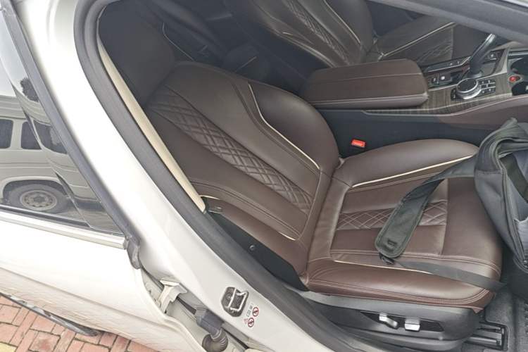 Used BMW 5 Series New Energy 2020 Mileage Upgrade Version 530Le Luxury Package Right Front Seat