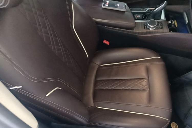 Used BMW 5 Series New Energy 2020 Mileage Upgrade Version 530Le Luxury Package Right Front Seat
