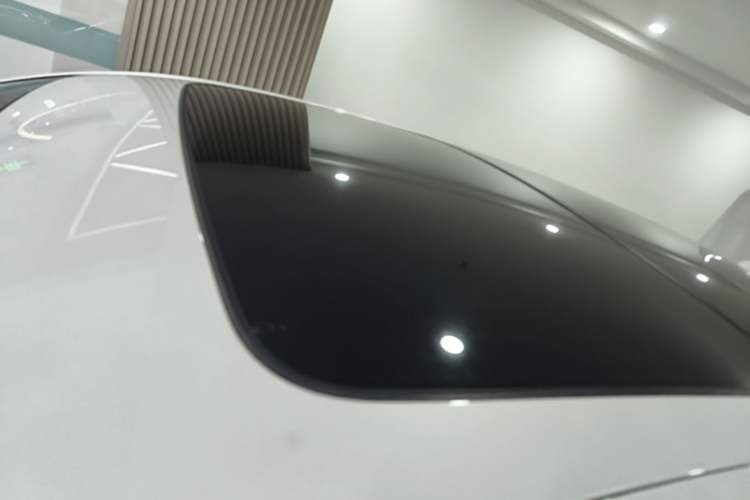 Used BMW 5 Series New Energy 2020 530Le Luxury Package Roof
