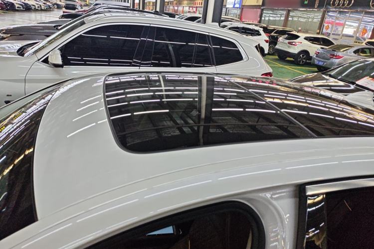 Used BMW 5 Series New Energy 2020 530Le Pioneer Edition Roof