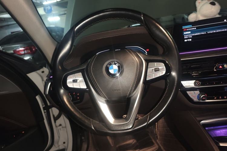 Used BMW 5 Series New Energy 2020 Mileage Upgrade Version 530Le Luxury Package Steering Wheel