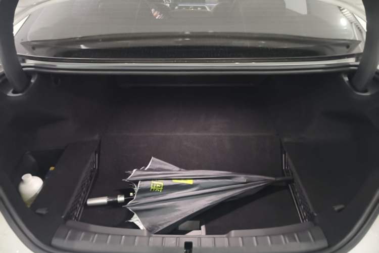Used BMW 5 Series New Energy 2020 530Le Luxury Package Trunk