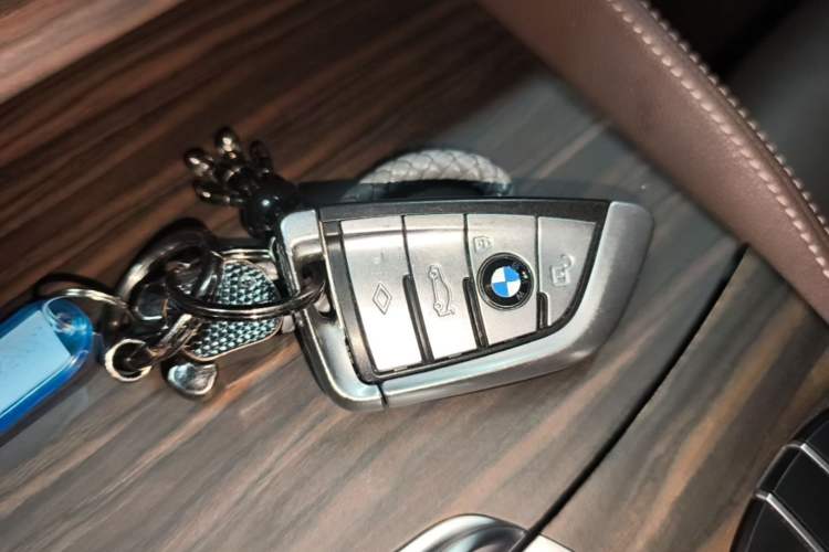 Used BMW 5 Series New Energy 2020 Mileage Upgrade Version 530Le Pioneer Edition Vehicle Key