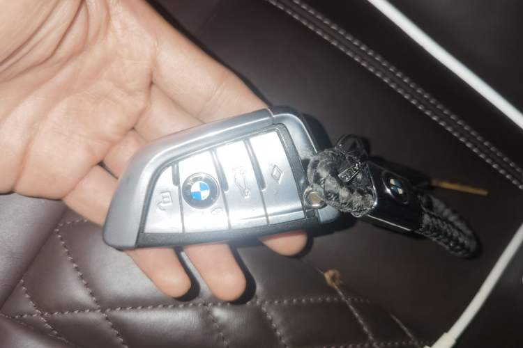Used BMW 5 Series New Energy 2020 Mileage Upgrade Version 530Le Luxury Package Vehicle Key