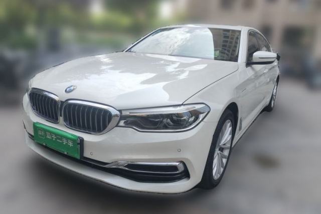 BMW 5 Series New Energy 2020 530Le Luxury Package usado