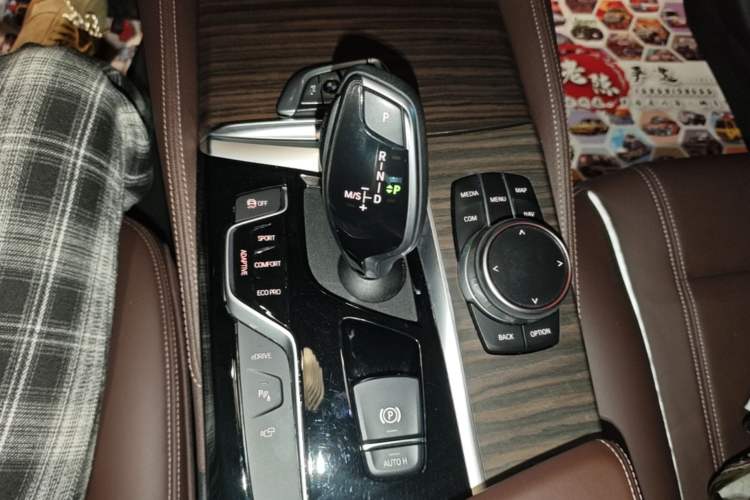Used BMW 5 Series New Energy 2020 Mileage Upgrade Version 530Le Luxury Package Gear Lever