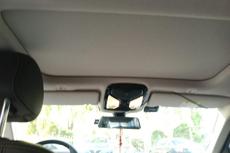 Used BMW 5 Series New Energy 2020 530Le Luxury Package Headliner