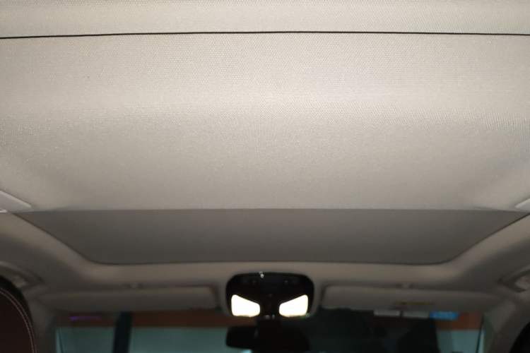 Used BMW 5 Series New Energy 2020 Mileage Upgrade Version 530Le Luxury Package Headliner