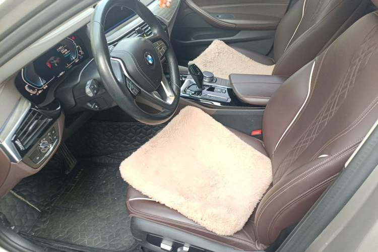 Used BMW 5 Series New Energy 2020 530Le Luxury Package Left Front Seat