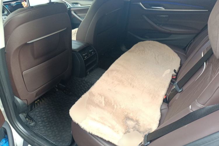 Used BMW 5 Series New Energy 2020 530Le Luxury Package Left Rear Seat
