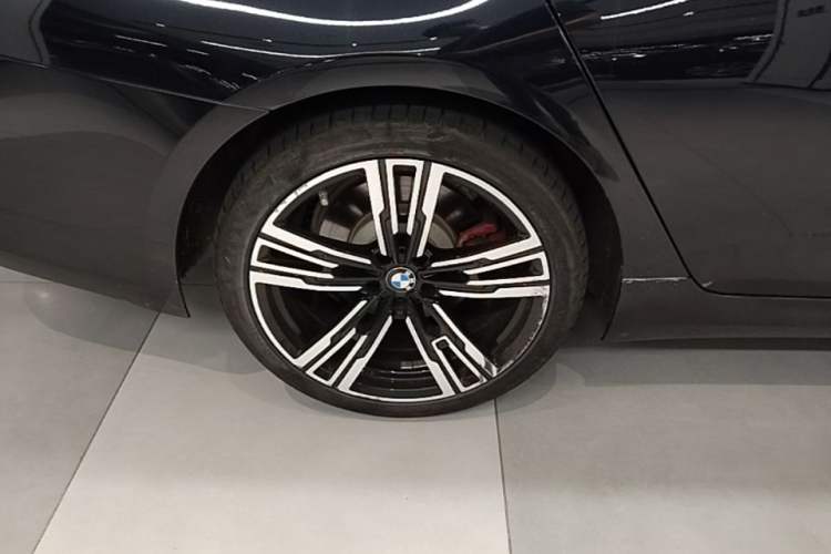 Used BMW 5 Series New Energy 2021 535Le Luxury Package Exterior 5