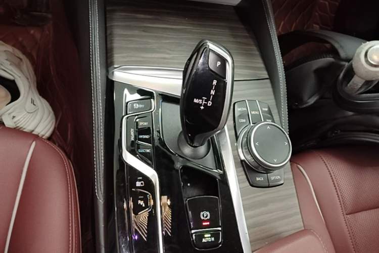 Used BMW 5 Series New Energy 2021 535Le Luxury Package Gear Lever