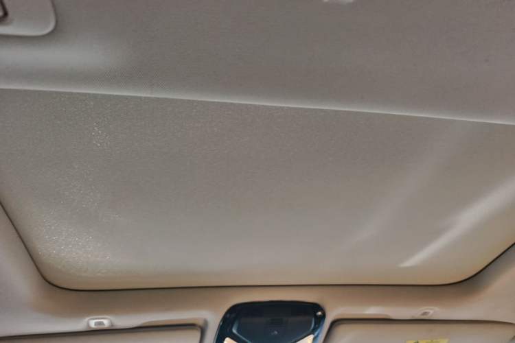 Used BMW 5 Series New Energy 2021 535Le Luxury Package Headliner