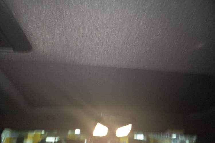Used BMW 5 Series New Energy 2021 535Le M Sport Package Headliner