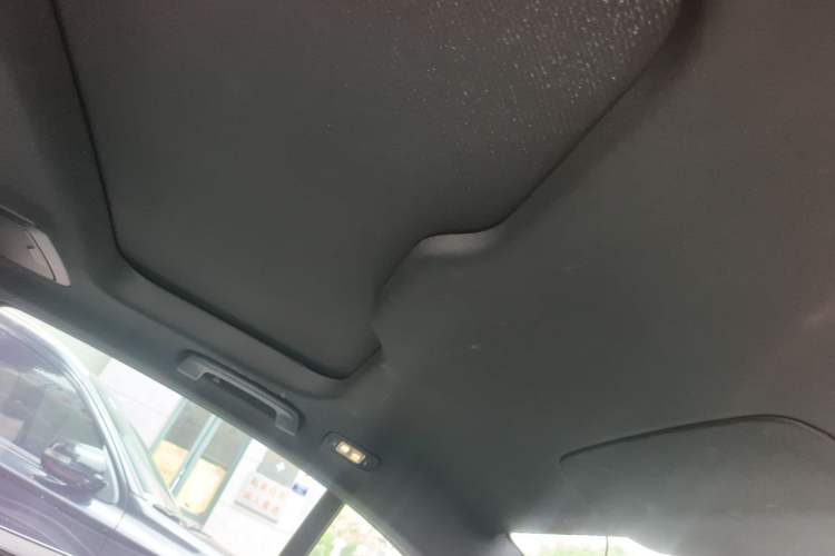 Used BMW 5 Series New Energy 2021 535Le Pioneer Edition M Sport Package Headliner