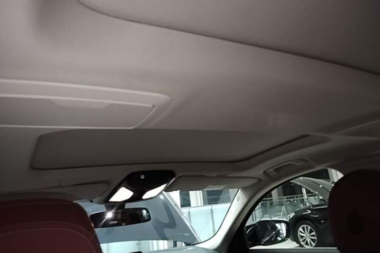 Used BMW 5 Series New Energy 2021 535Le Luxury Package Headliner
