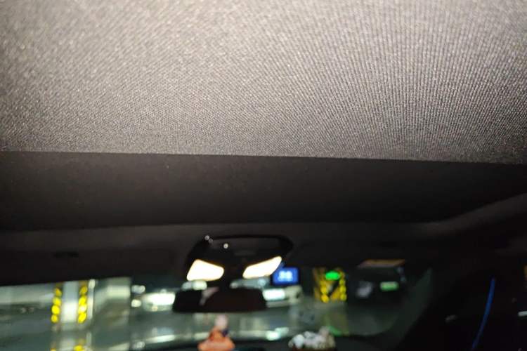 Used BMW 5 Series New Energy 2021 Restyled 535Le M Sport Package Headliner