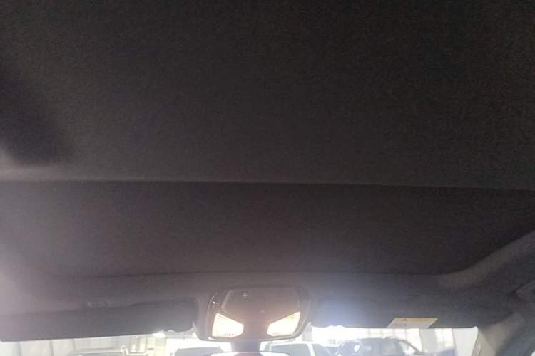 Used BMW 5 Series New Energy 2021 535Le M Sport Package Headliner