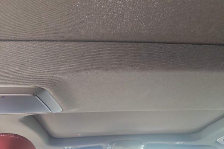 Used BMW 5 Series New Energy 2021 535Le M Sport Package Headliner