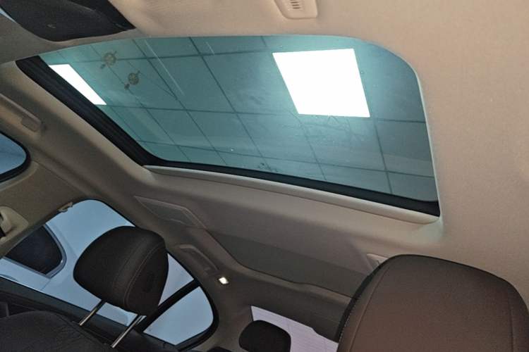 Used BMW 5 Series New Energy 2021 535Le Luxury Package Headliner