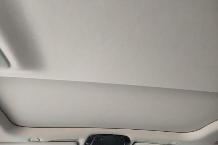 Used BMW 5 Series New Energy 2021 535Le Luxury Package Headliner