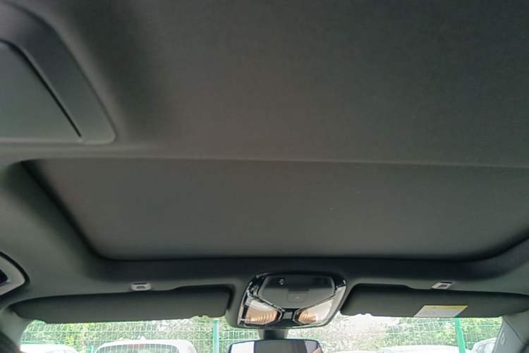 Used BMW 5 Series New Energy 2021 535Le M Sport Package Headliner