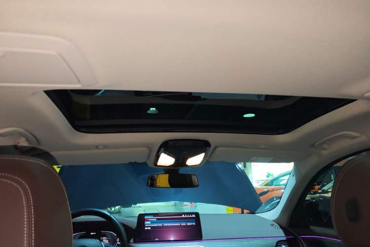 Used BMW 5 Series New Energy 2021 535Le Luxury Package Headliner
