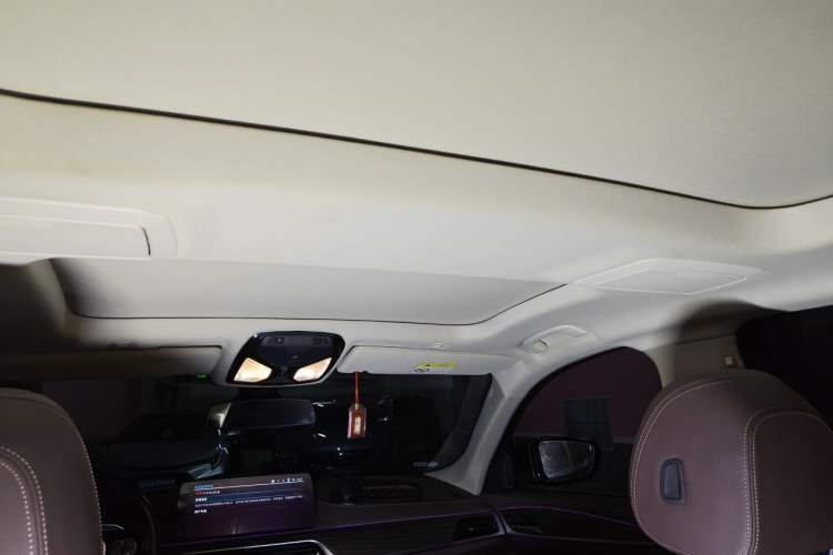 Used BMW 5 Series New Energy 2021 Updated 535Le Luxury Package Headliner