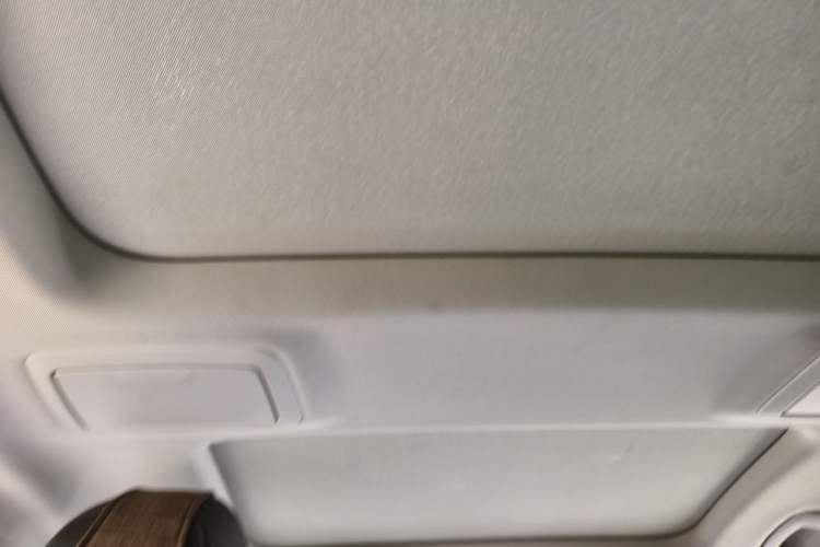 Used BMW 5 Series New Energy 2021 535Le Luxury Package Headliner